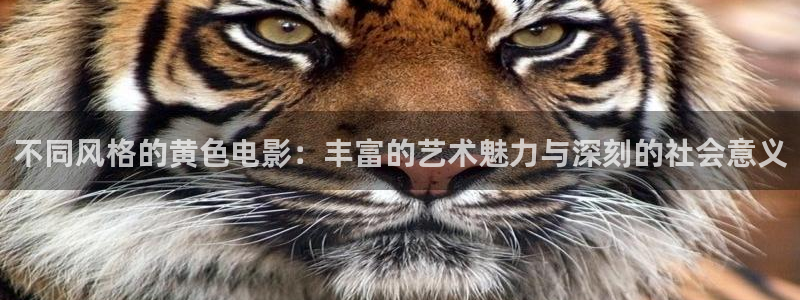 全能的影视软件：不同风格的黄色电影：丰富的艺术魅力与深刻的社会意义