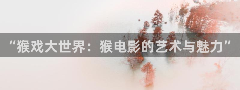 全能的影视软件
