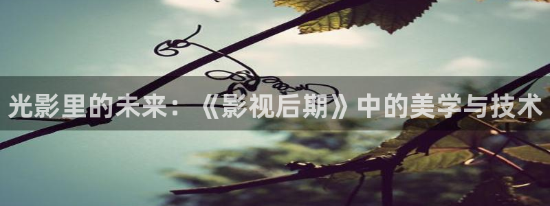 全能影视官网网站