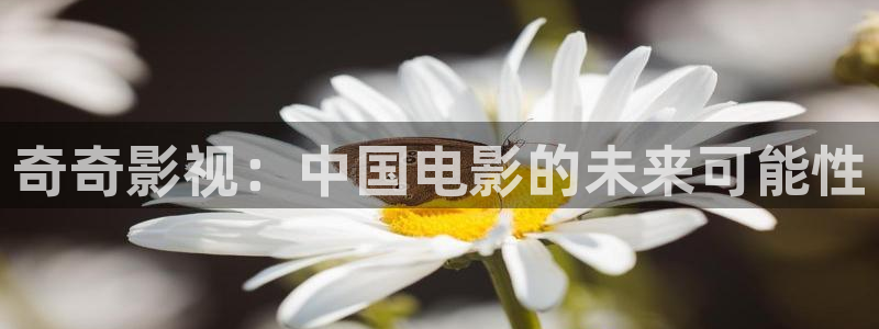 全能影视大全免费观看