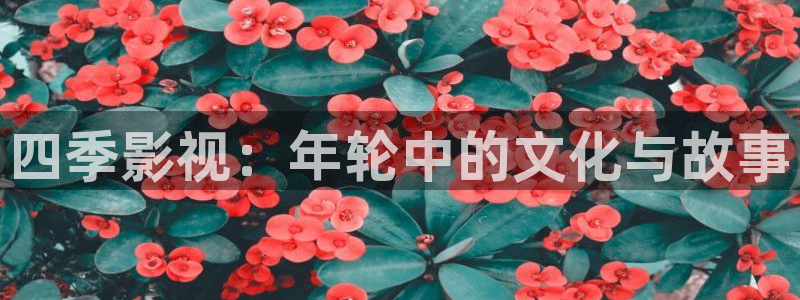 全能影院